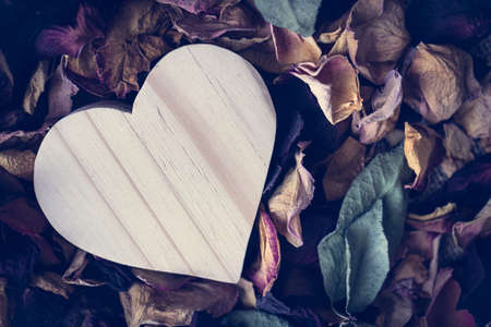 Blank wooden heart shape on bed of dried rose petalsの写真素材