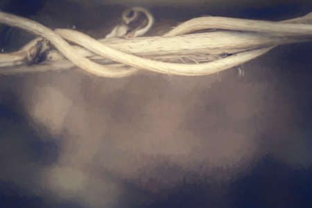 Branch border background with negative spaceの写真素材