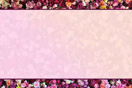 Rose wall border top and bottom with faded backgroundの写真素材