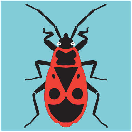 insect bug soldier on blue backgroundのイラスト素材