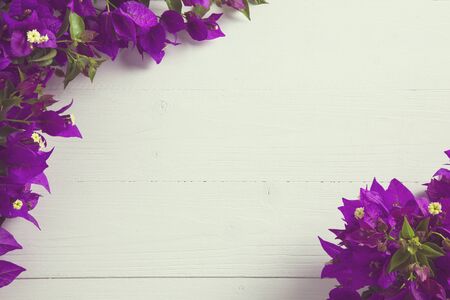 overhead portrait of flowering branches of bouganvilleaの写真素材