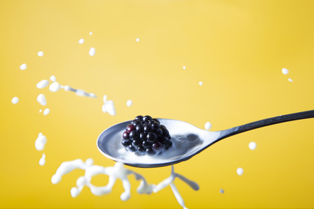splash portrait of  spoon with blackberry and milkの写真素材