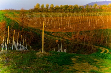 colori della campagnaの写真素材