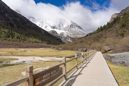 Grass land in the Shangri-la, the sacred place in Tibet, west of China