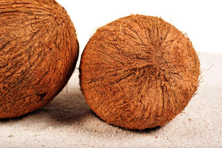 Coconuts on the sand backgroundの写真素材