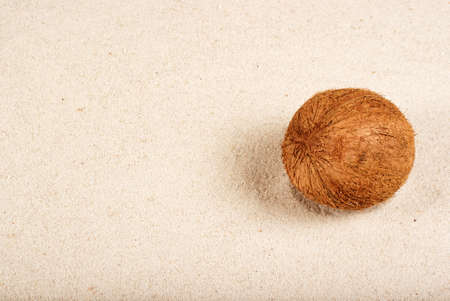 Coconut on the sand backgroundの写真素材