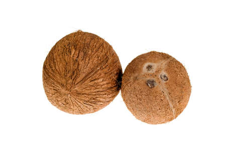 Coconuts isolated on the white backgroundの写真素材