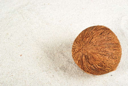 Coconut on the sand backgroundの写真素材