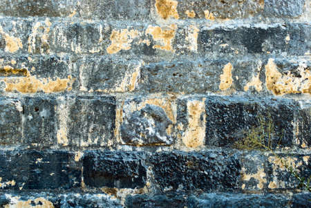 Old grunge and dirty, wall textureの写真素材