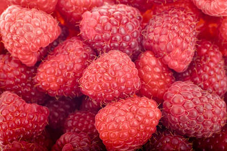 Ripe raspberries close up detail shotの写真素材