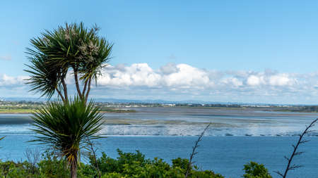 High angle landscape view of the Manukau Haarbour in Auckland,New Zealandの写真素材