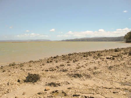 Low angle view of a marshy brown mud bank foreground seascape during the daytime eの写真素材