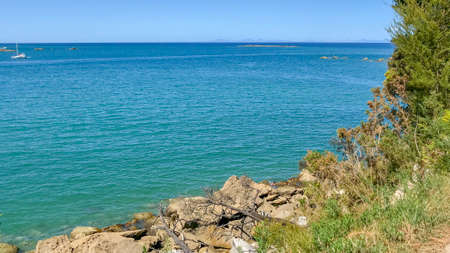 Bark Bay on the Abel Tasman coast New Zealand on a bright sunny day inの写真素材