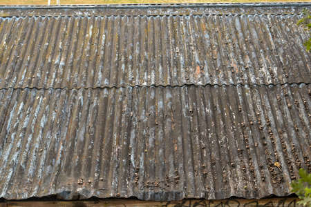 Rusty corrugated tin roof of an old shedの写真素材