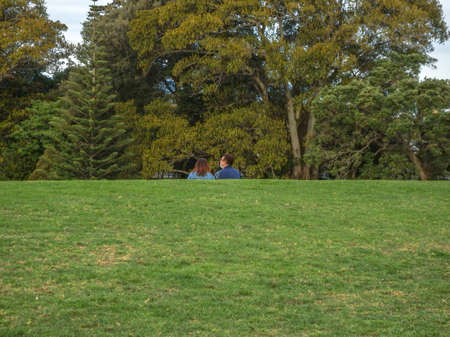 Two people seen enjoying the fresh air and  greenery at a public parkの写真素材
