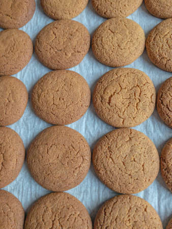 Flat lay view of rows of ginger nut cookies on a baking trayの写真素材