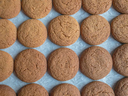 Flat lay view of rows of ginger nut cookies on a baking trayの写真素材