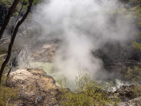 Hot smoke billowing out of a geo thermal valley on a warm sunny day in Rotorua New Zealandの写真素材