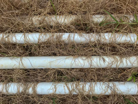 Close up overhead view of white colored pipes lying on dry grass