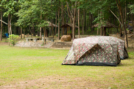 Camp on the lawn in the forestの写真素材