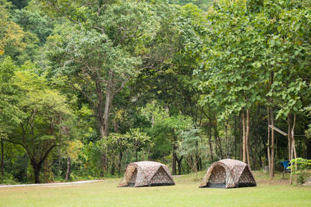 Camp on the lawn in the forestの写真素材