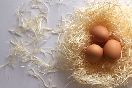 Eggs lie in a straw nest on a white background. Three eggs on a white background lie in a nest view from above.の写真素材