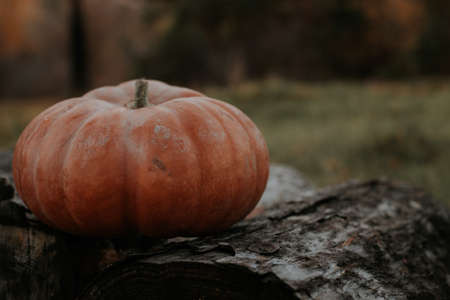 Pumpkin on a wooden background with place for text. Festive pumpkin on a wooden table. Top view pumpkin on wooden background. Place for an inscription.の写真素材