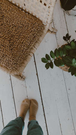 The legs of a girl in brown socks and jeans stand on the wooden floor next to a wicker chair and a green house flower. Slender legs of a girl on a white wooden floor.の写真素材