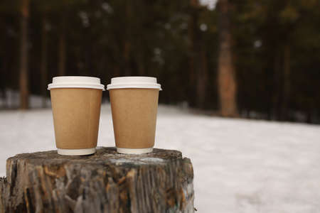 Eco-friendly disposable glasses of coffee stand on a wooden stump in a pine forest. Spring in the forest two glasses made of cardboard.の写真素材