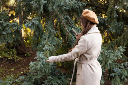 A young girl photographs the tree on the phone. Walk in the park on an autumn day.の写真素材