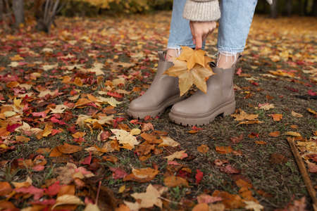 Close-up of the girl's legs stands on the ground covered with autumn yellow leaves. The girl holds maple leaves in her hands. selectiv focusの写真素材
