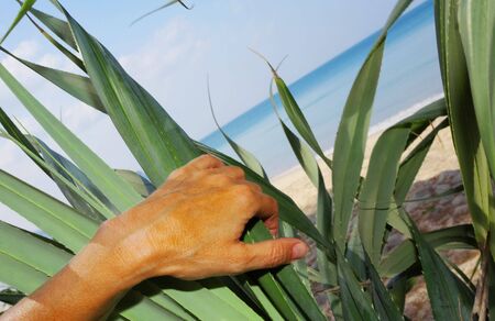 View of some person discovering nice tropical beach