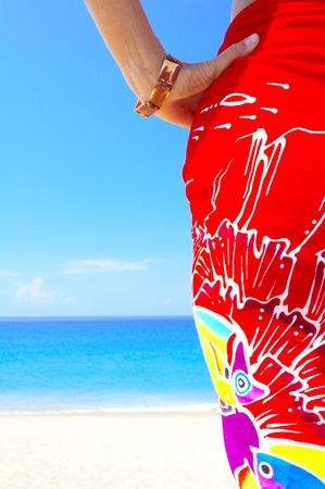 view of  female back on a background of the tropical seaの写真素材