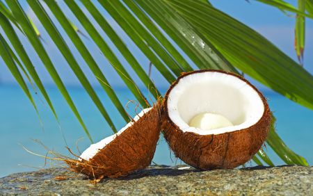 view of two coconut halves and palm  on sea shore