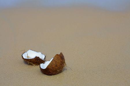 view of lonely cracked coconut on sandy beachの写真素材