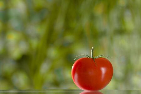 Close up view of nice red fresh tomato on green  backの写真素材