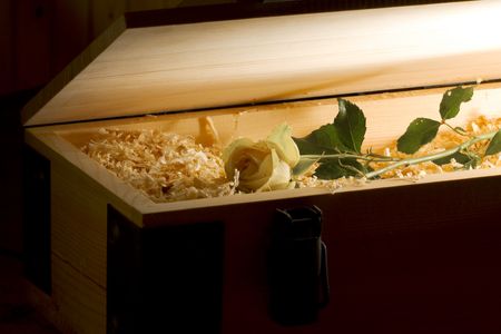 View of nice fresh rose delivered in cuttings filled wooden boxの写真素材