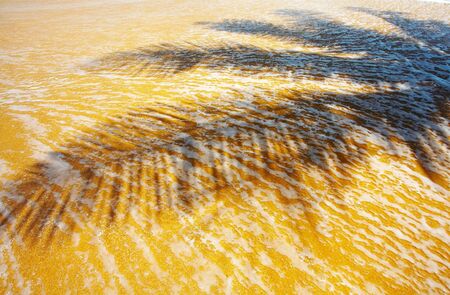 view of palms shadow on tropical beachの写真素材