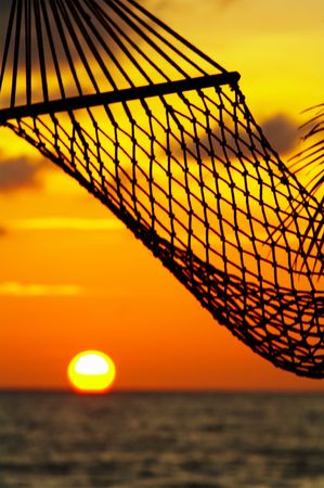 silhouette of hammock during tropical sunsetの写真素材
