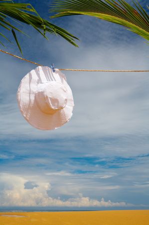 view of nice white panama  hanging on the rope in tropical environmentの写真素材