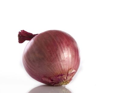 Close up view of nice fresh onion on white back	の写真素材