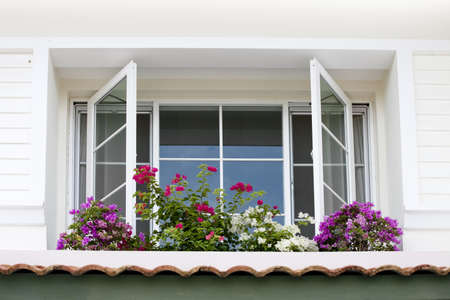 Close up view of nice white framed window with flowers