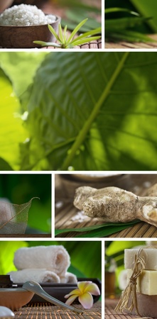 Close up view of spa theme objects on natural backgroundの写真素材