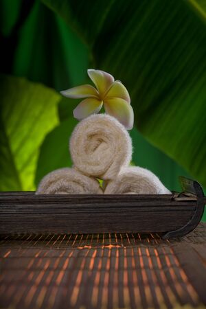 close up view of stones  and flower  on color backの写真素材