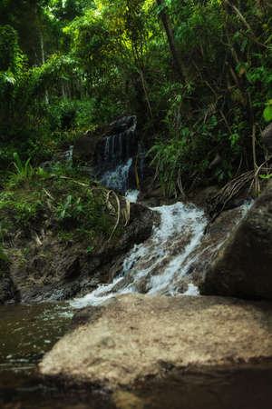 panoramic view of nice tropic jungle and huge boulders 