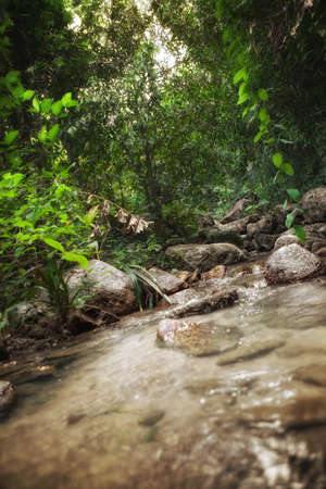 panoramic view of nice tropic jungle and huge boulders の写真素材