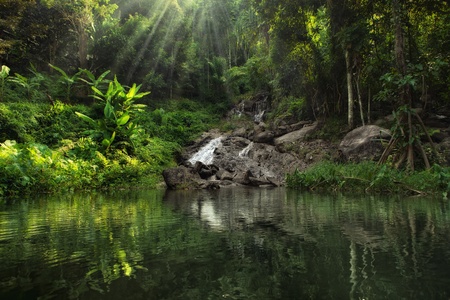 panoramic view of nice tropic jungle and huge pondの写真素材