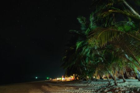 View of nice tropical  beach  with some palms around at night timeの写真素材