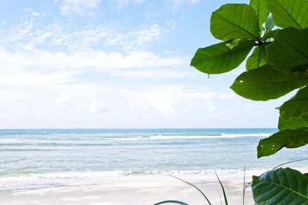 panorama  like View of nice tropical beach の写真素材