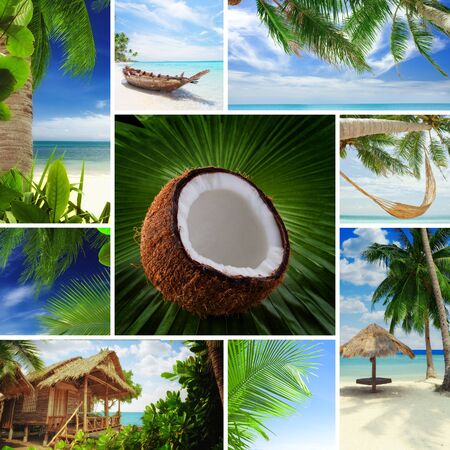 Tropic theme collage composed of different imagesの写真素材